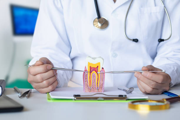 Best Emergency Treatment for Toothache in Six Mile, SC